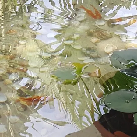 Errico * 갈리폴리